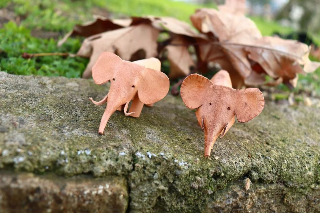 图片[2]-手工皮具图纸 皮小象go008-皮艺果手工皮具图纸