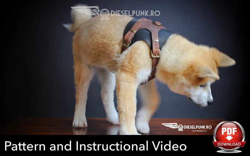 图片[3]-手工皮具图纸 狗狗牵引绳di109-皮艺果手工皮具图纸