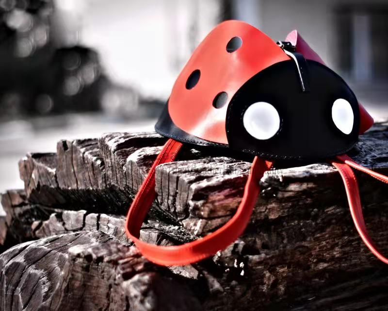 图片[3]-手工皮具图纸 瓢虫包lh062-皮艺果手工皮具图纸