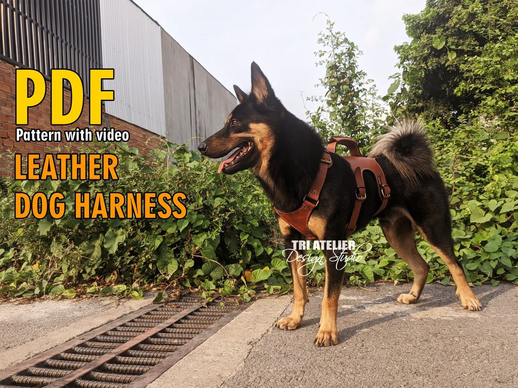 图片[1]-手工皮具图纸 狗背带ta004-皮艺果手工皮具图纸