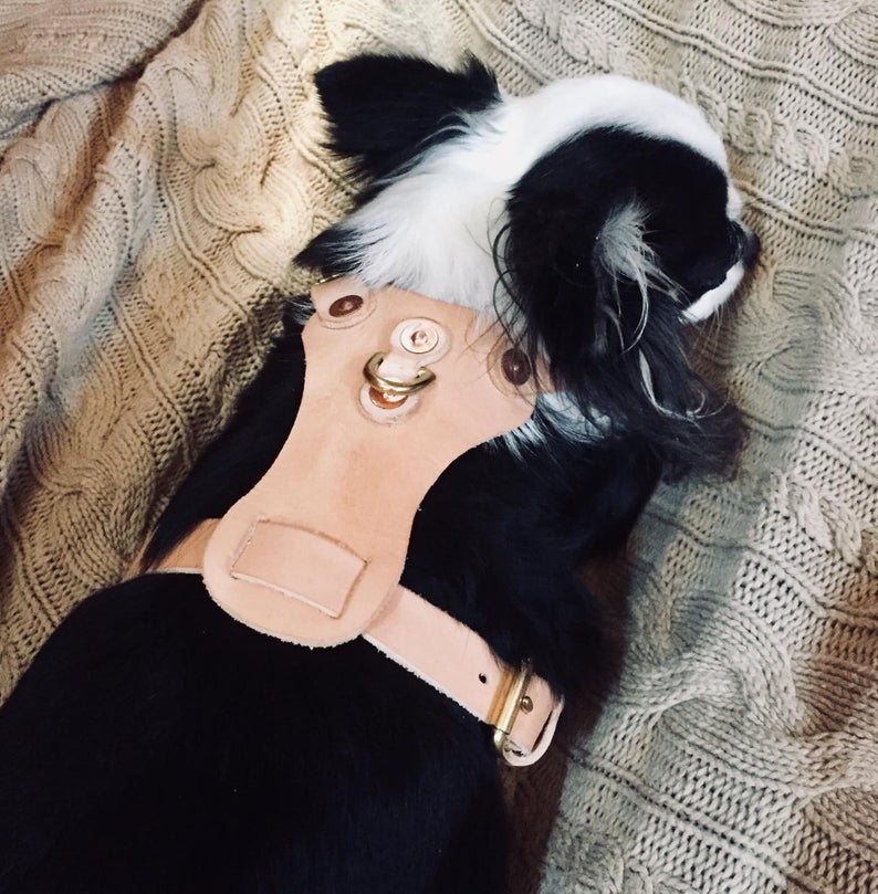 图片[3]-手工皮具图纸 牵引绳kd009-皮艺果手工皮具图纸