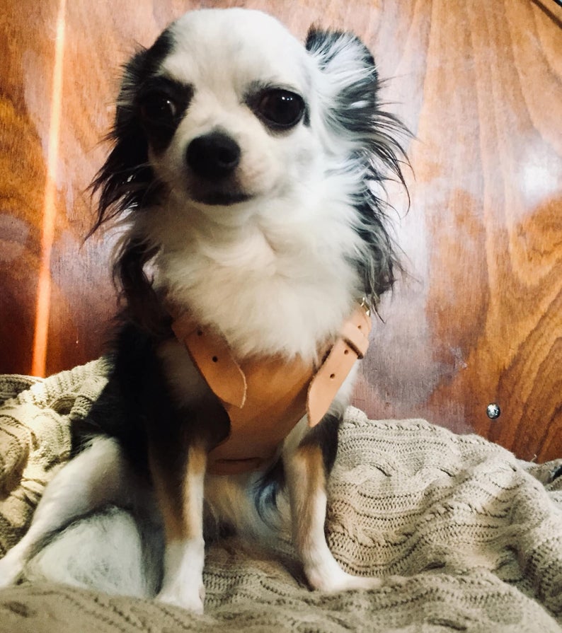 图片[2]-手工皮具图纸 牵引绳kd009-皮艺果手工皮具图纸