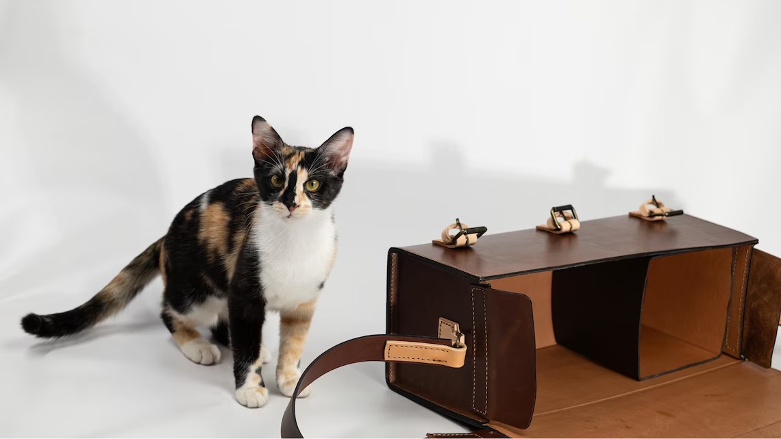 图片[3]-手工皮具图纸 工具包ca204-皮艺果手工皮具图纸