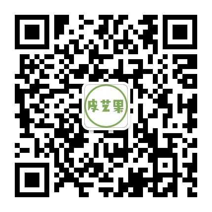 单肩小挎包 bc036-皮艺果手工皮具图纸